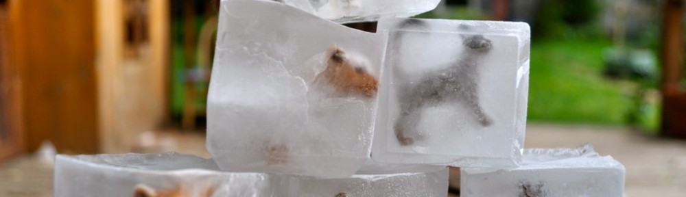 DIY Fun: Animal Ice Cubes