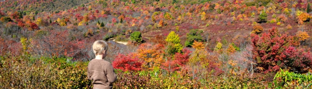 Graveyard Fields & Ridge